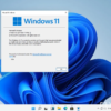 Microsoft Windows 11 PRO - Download view 2